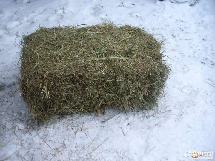 Сено солома в мешках, сено сухое зелëное