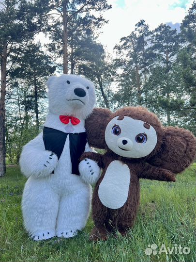 Белый мишка поздравление чебурашка экспресс