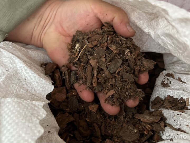 Кора кедра мульча