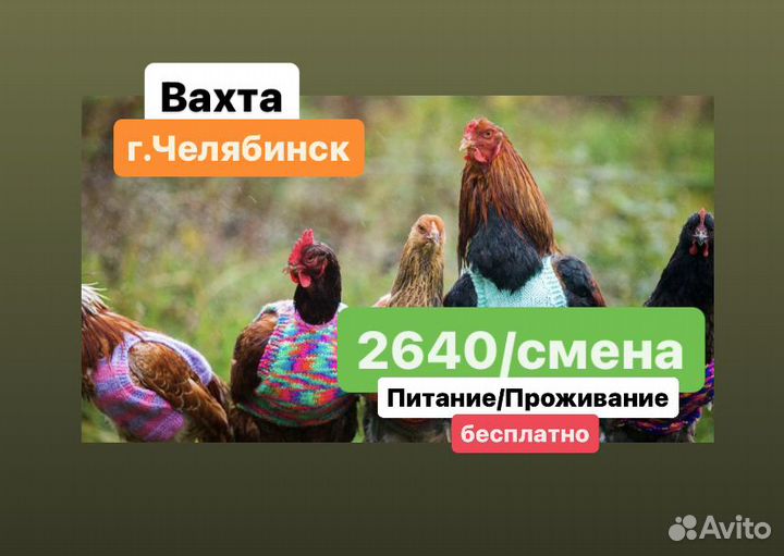 Разнорабочие вахтой/Птицефабрика/высокая ставка