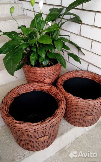 Кашпо из ротанга