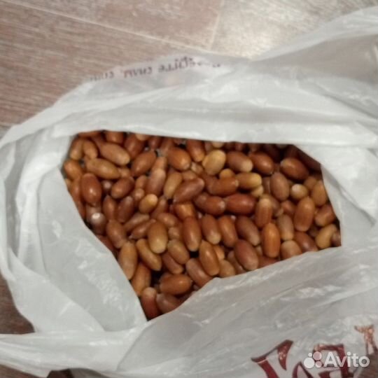 Жолуди отборные