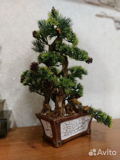 Бонсай дерево