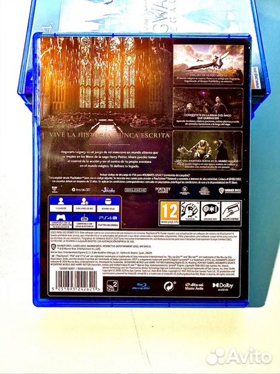 Hogwarts Legacy ps4
