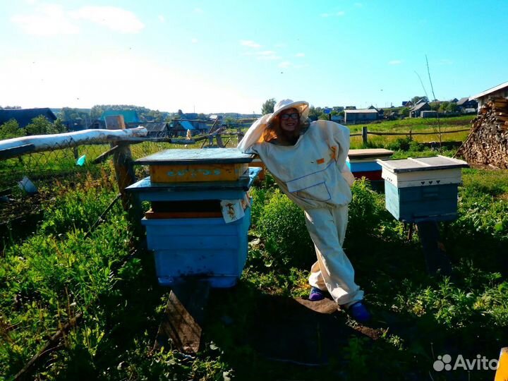 Пчелы и улья