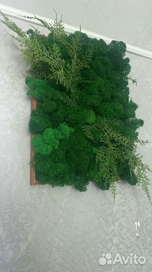 Панно из мха