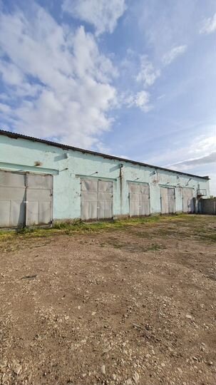 Свободного назначения, 980 м²