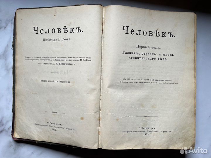 Книга «Человек» 1902