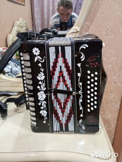 Гармонь рябинушка