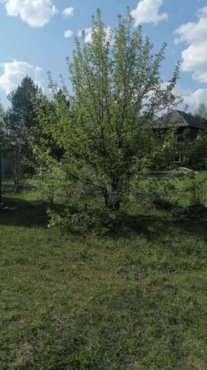 Участок 10 сот. (СНТ, ДНП)