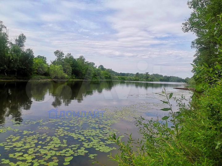 Участок 10 сот. (ИЖС)