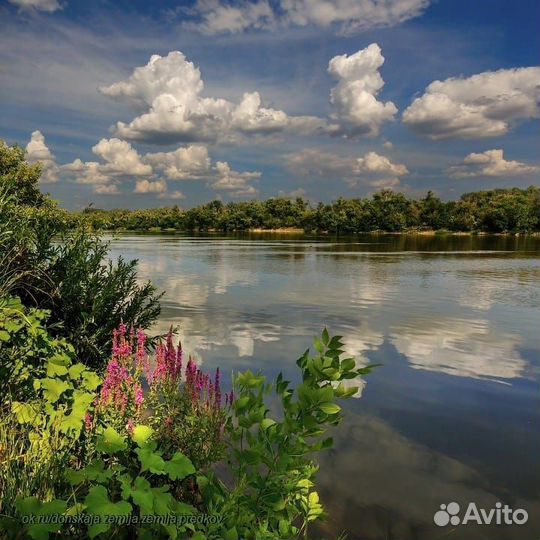Мотор на лодке