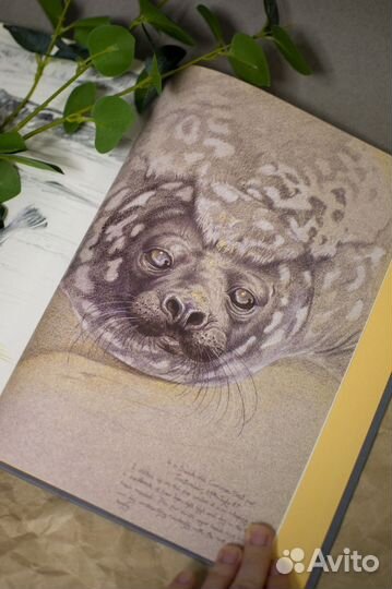 Книга The Silvery Tay: Paintings and Sketches