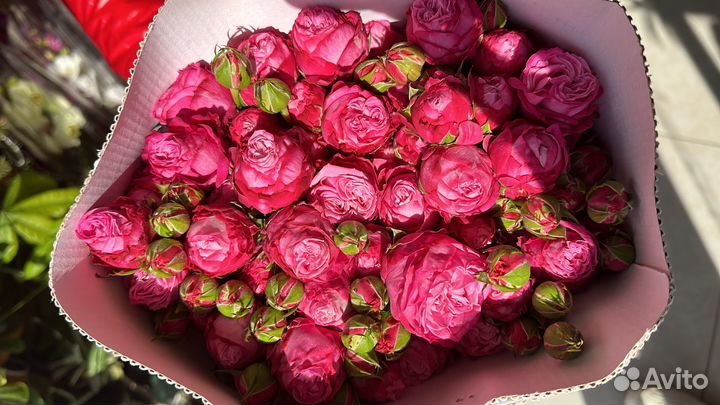 Композиции из пионовидных роз/пионовидная роза