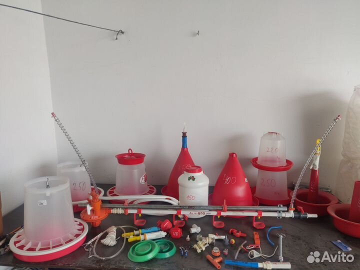 Кормушка для кур, птиц