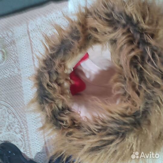 Ростовой костюм льва