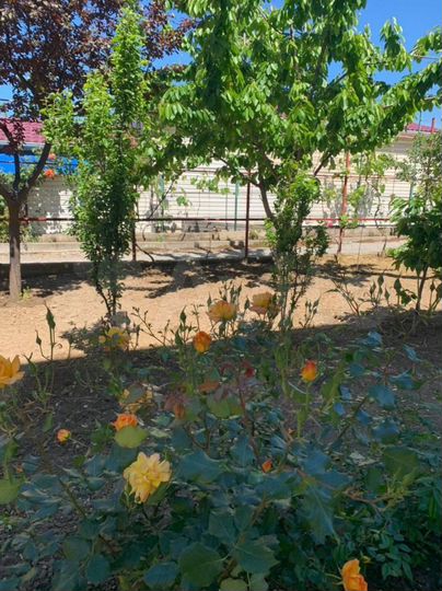 1-к. квартира, 25,3 м², 2/3 эт.