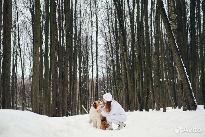 Ассистент ветеринарного врача на дом