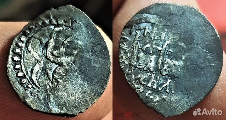 Чешуя неописанная денга вд найдена Нижегородская о