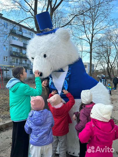 Белый мишка, панда с поздравлением