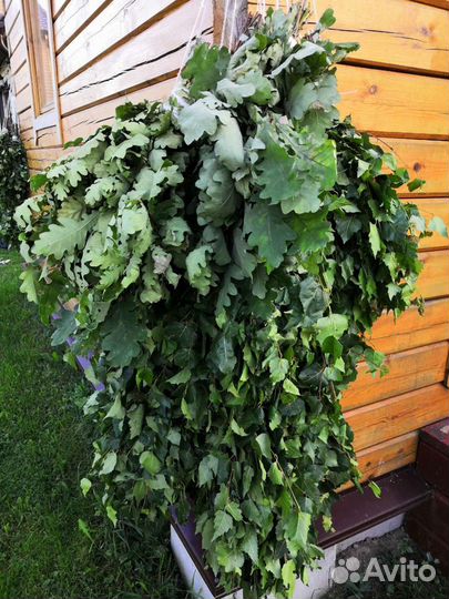 Веники для бани