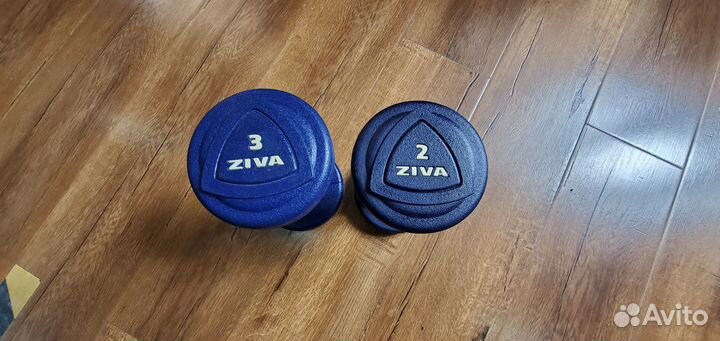 Набор уретановых гантелей Ziva 1-10 кг