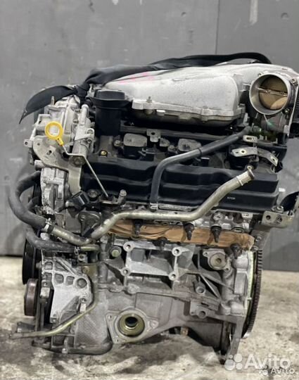 Двигатель VQ35DE Infiniti M35 Y50 3.5 4wd 65т.км