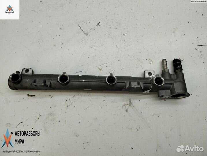 Топливная рампа Volkswagen Golf 4 2003 036133319AA