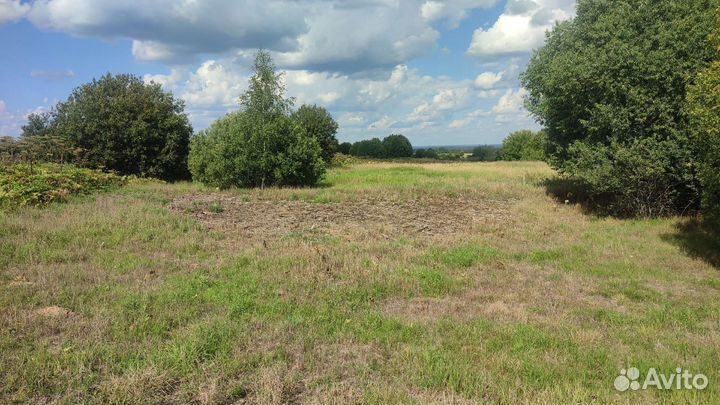 Обработка территорий от клещей