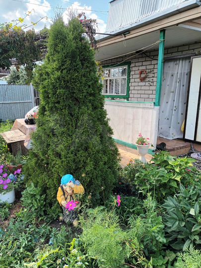 Дача 48 м² на участке 8 сот.