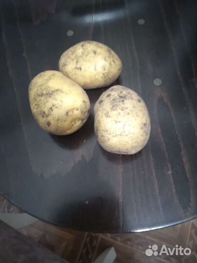 Продам картофель