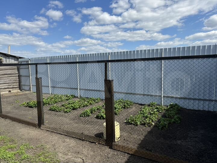 Дом 55 м² на участке 30 сот.