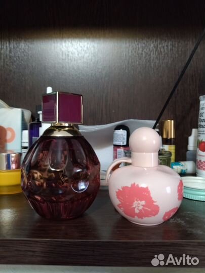 Nina ricci jimmy choo