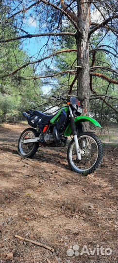 Kawasaki kdx200 SR