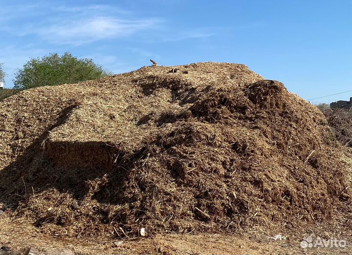 Древесная щепа