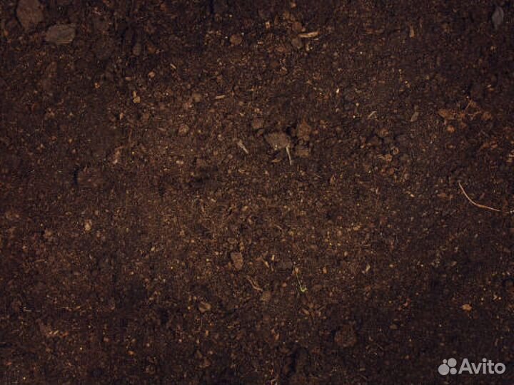 Чернозём в наличии. Хлюпино