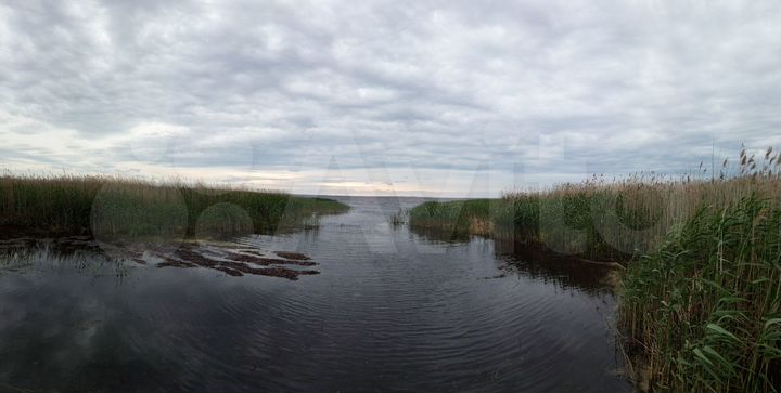 Участок 56 сот. (ИЖС)