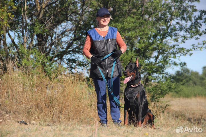 Клуб Собаководства 