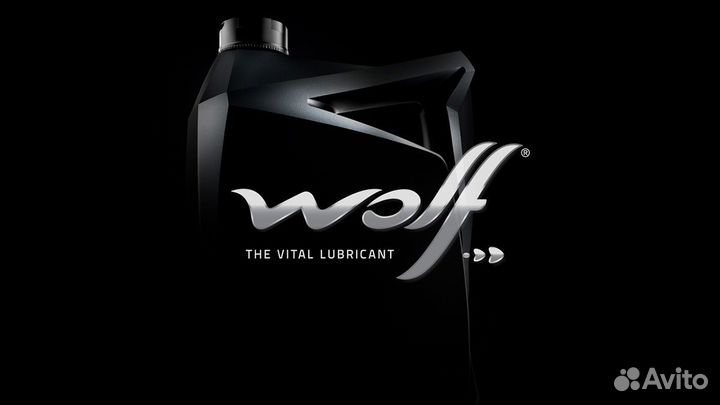 Масло для Dsg Wolf Belgium