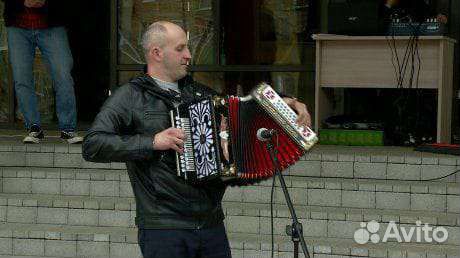 Баянист на праздник
