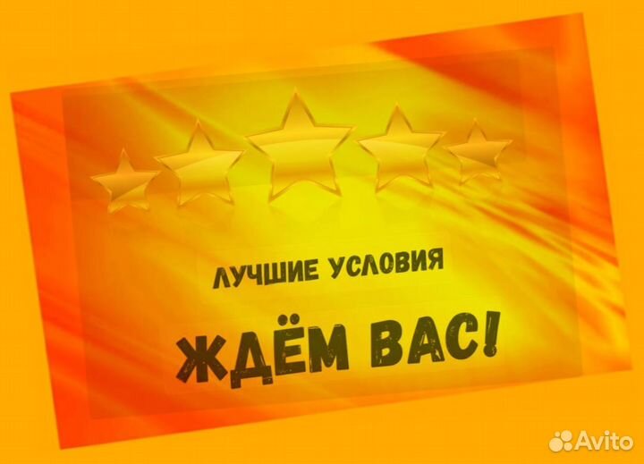 Сборщик заказов Выплаты еженедельно Без опыта М/Ж