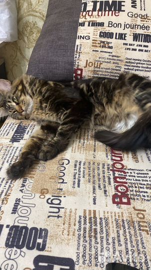 Мейкун вязка