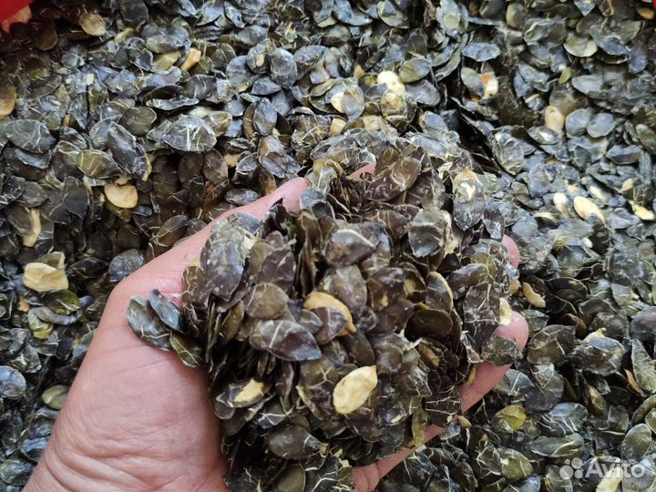 Жмых различных семян