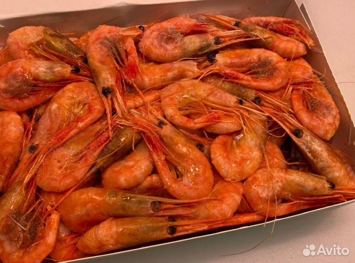 Креветка северная. Улов 2023. Без посредников