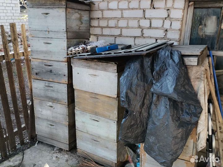 Все для разведения пчёл