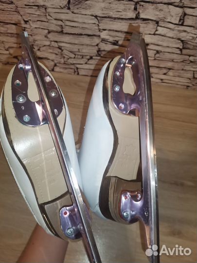 Risport Royal Super 240