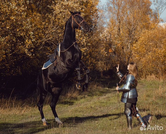 Фотосессия в доспехах