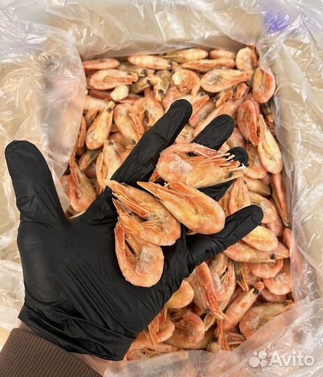 Креветки Гренландия