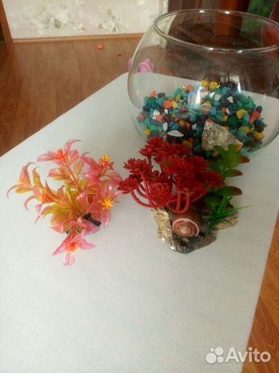 Аквариум 3 литра