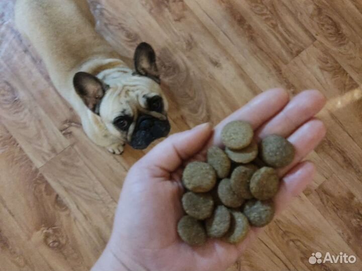 Сухой корм для собак 15 кг